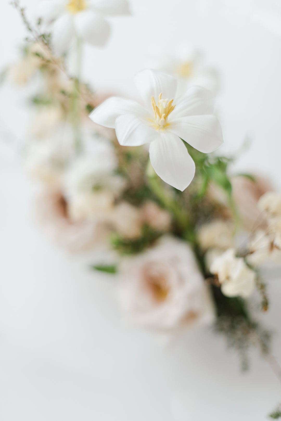 Close-up of a bouquet with white and pink flowers on a light background